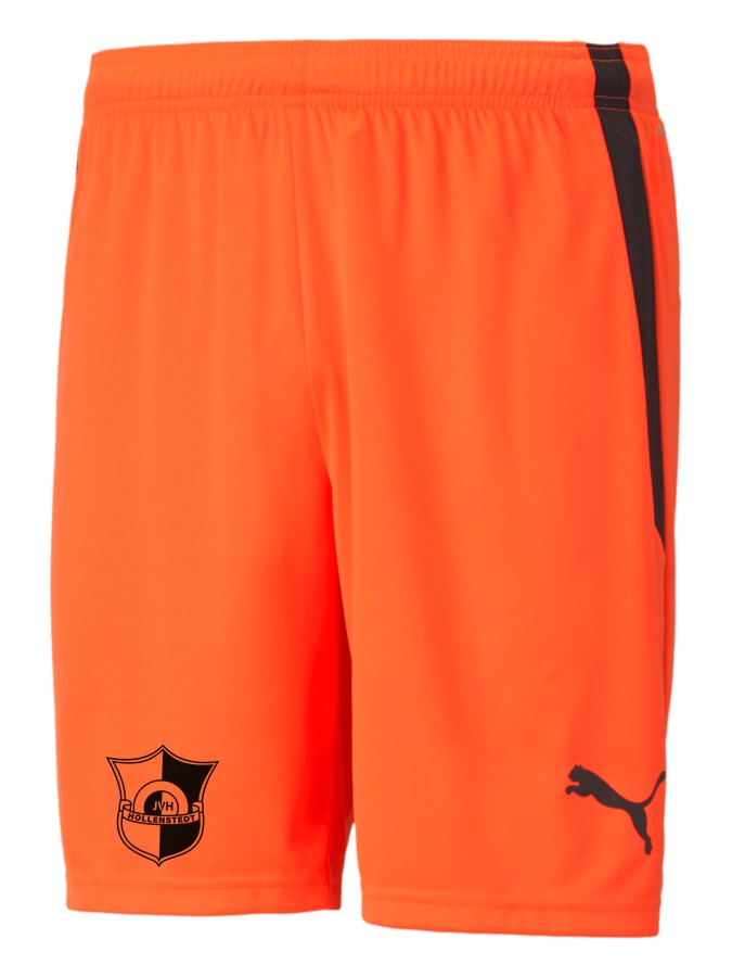 PUMA teamLIGA Shorts