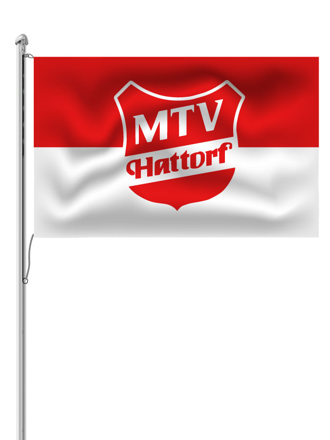 Hissfahne Logo