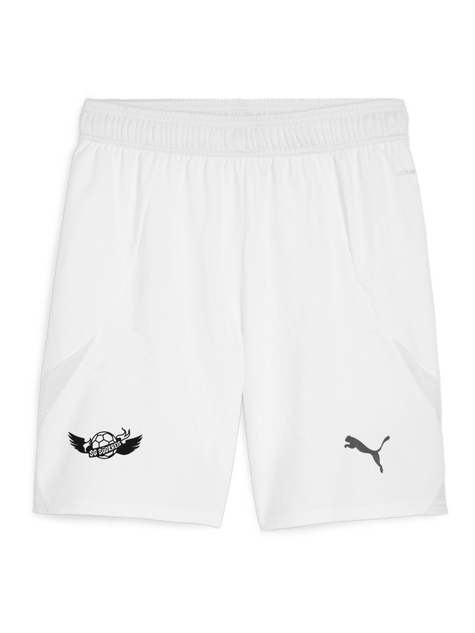 PUMA teamFINAL Shorts