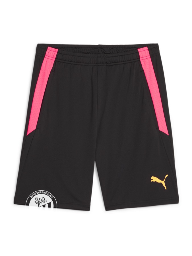 PUMA teamLIGA Training Shorts 2 (Offene Taschen)