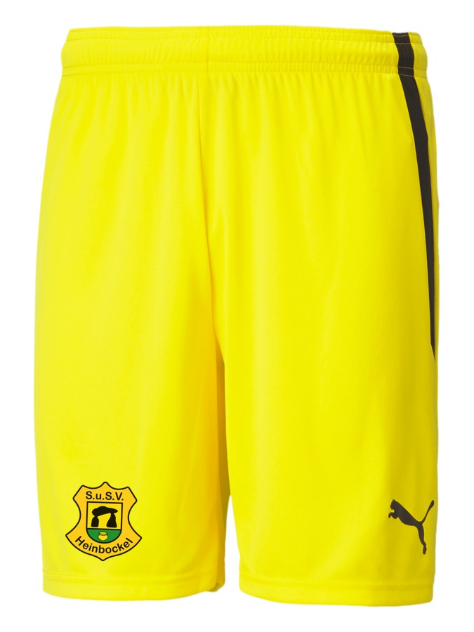 PUMA teamLIGA Shorts