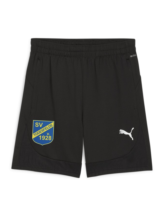 PUMA teamFINAL Training Shorts