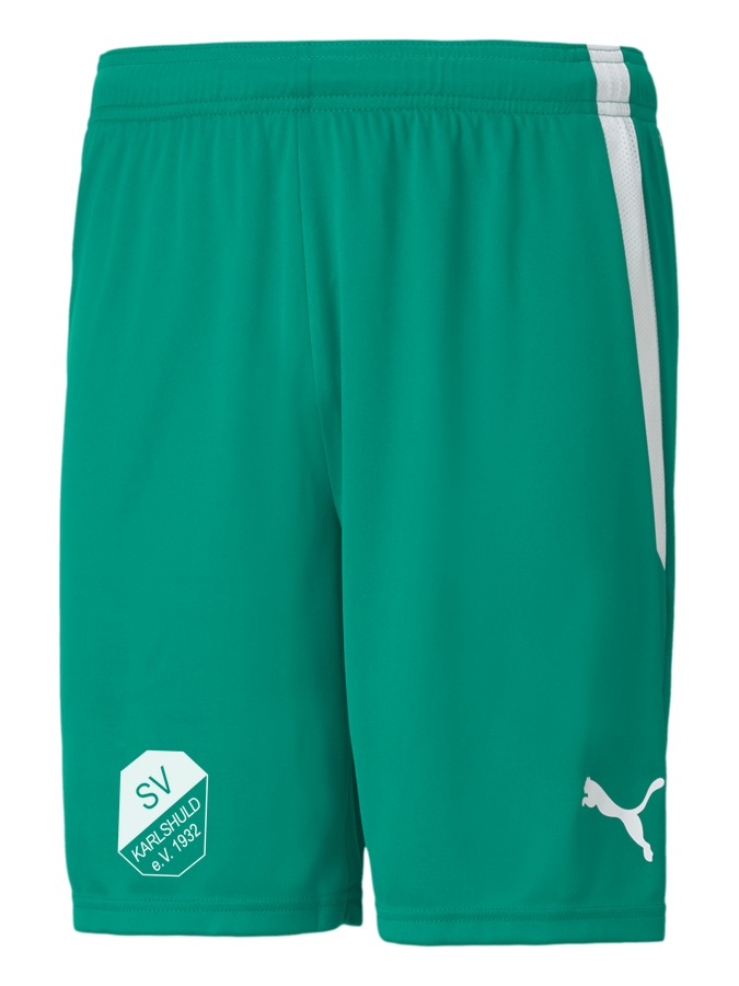 PUMA teamLIGA Shorts