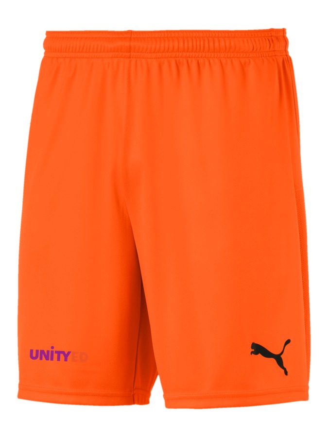 PUMA teamGOAL 23 Knit Shorts