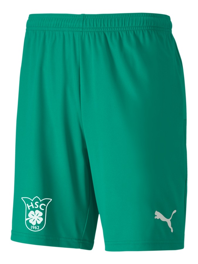 PUMA teamGOAL 23 Knit Shorts