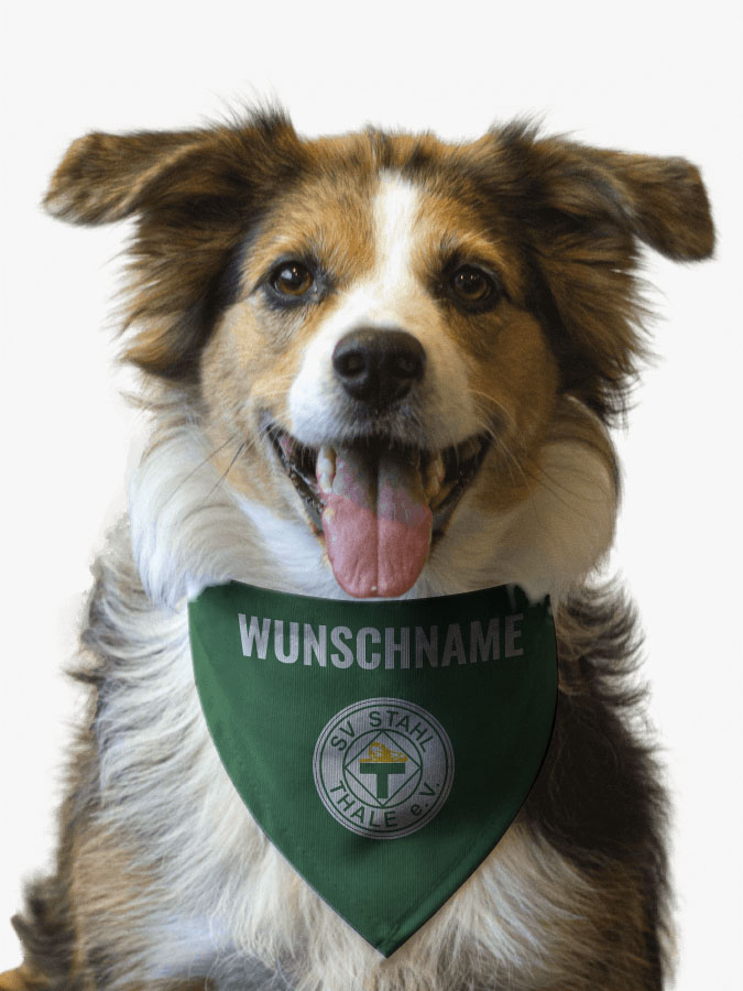 Hundehalstuch