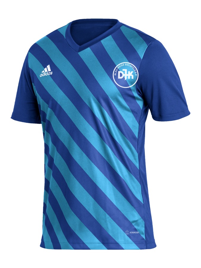 adidas Entrada 22 GFX Trikot