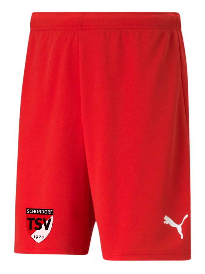 PUMA teamRISE Short