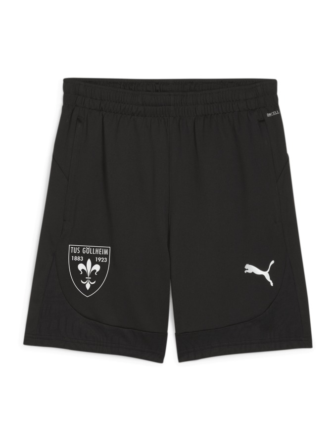PUMA teamFINAL Training Shorts