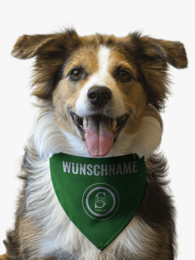 Hundehalstuch