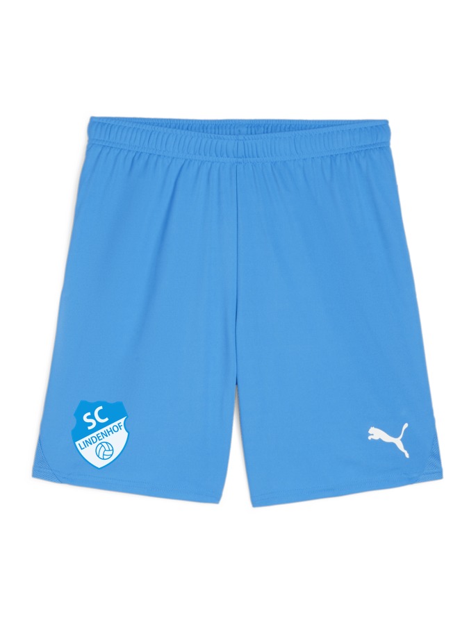 PUMA teamGOAL Shorts