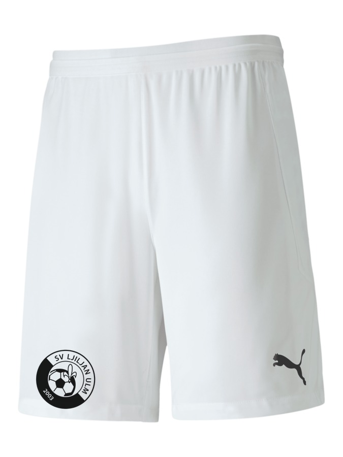 PUMA teamFINAL 21 Knit Shorts