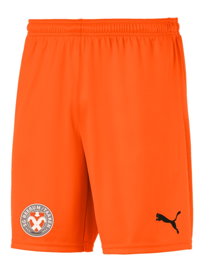 PUMA teamGOAL 23 Knit Shorts