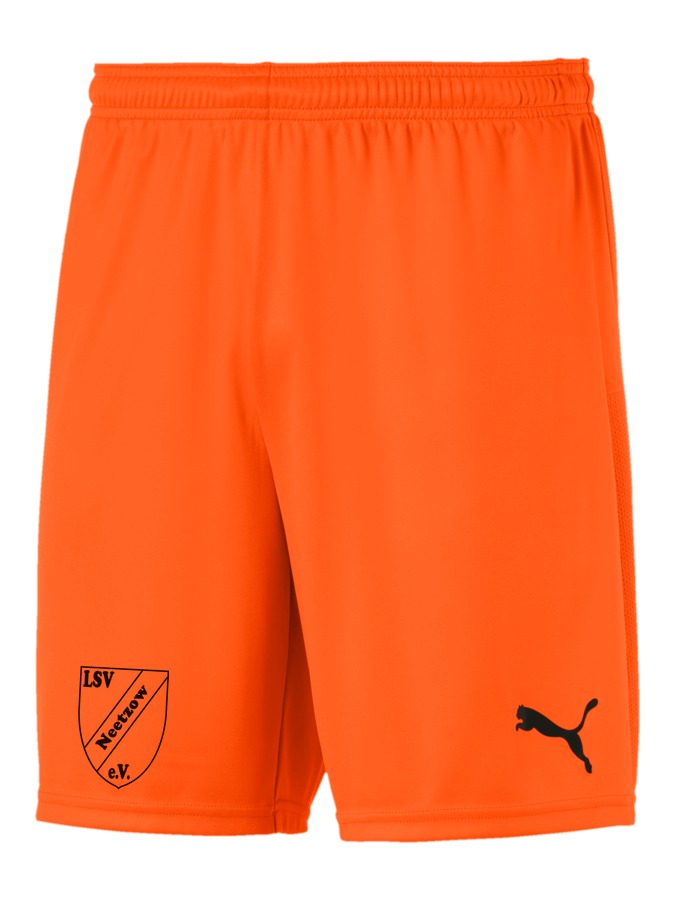 PUMA teamGOAL 23 Knit Shorts