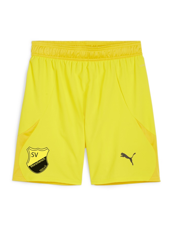 PUMA teamFINAL Shorts