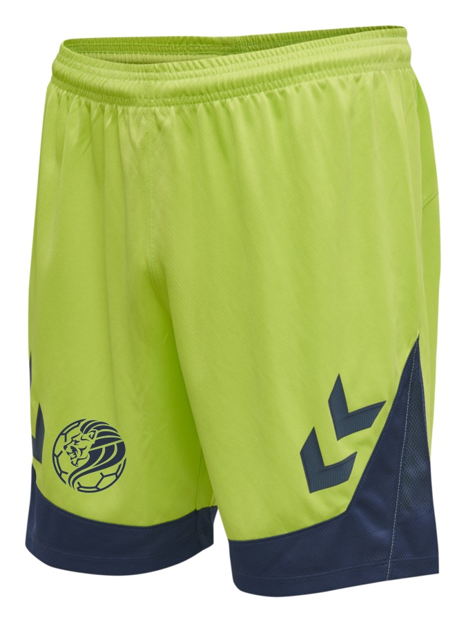 Hummel Lead Trainingsshorts