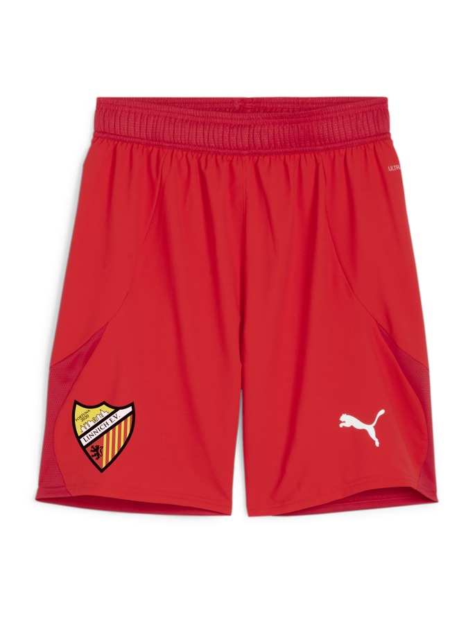 PUMA teamFINAL Shorts