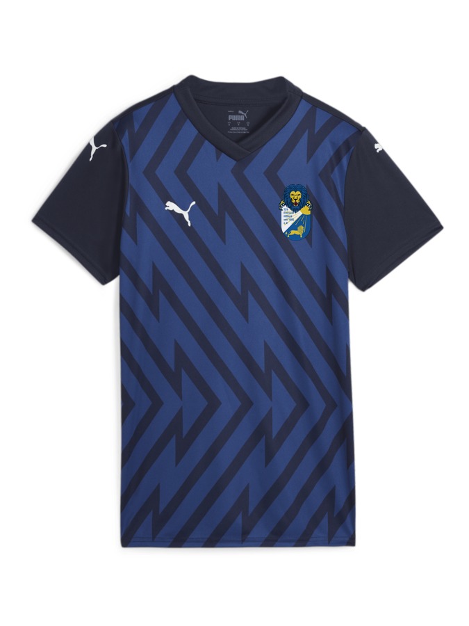 PUMA teamGLORY Trikot Damen