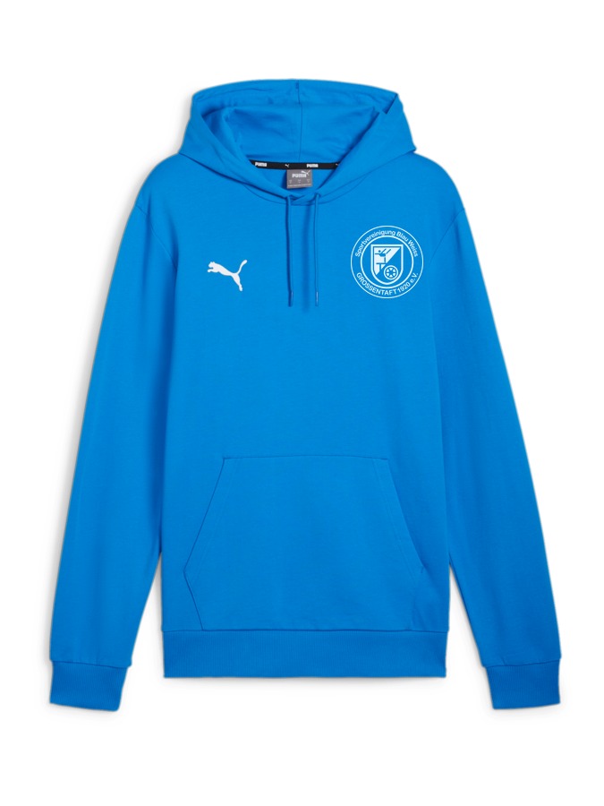 PUMA teamGOAL Casuals Hoody