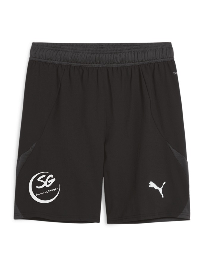 PUMA teamFINAL Shorts