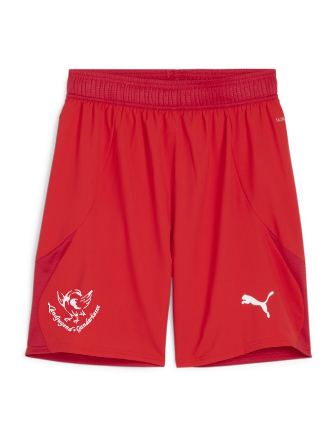 PUMA teamFINAL Shorts