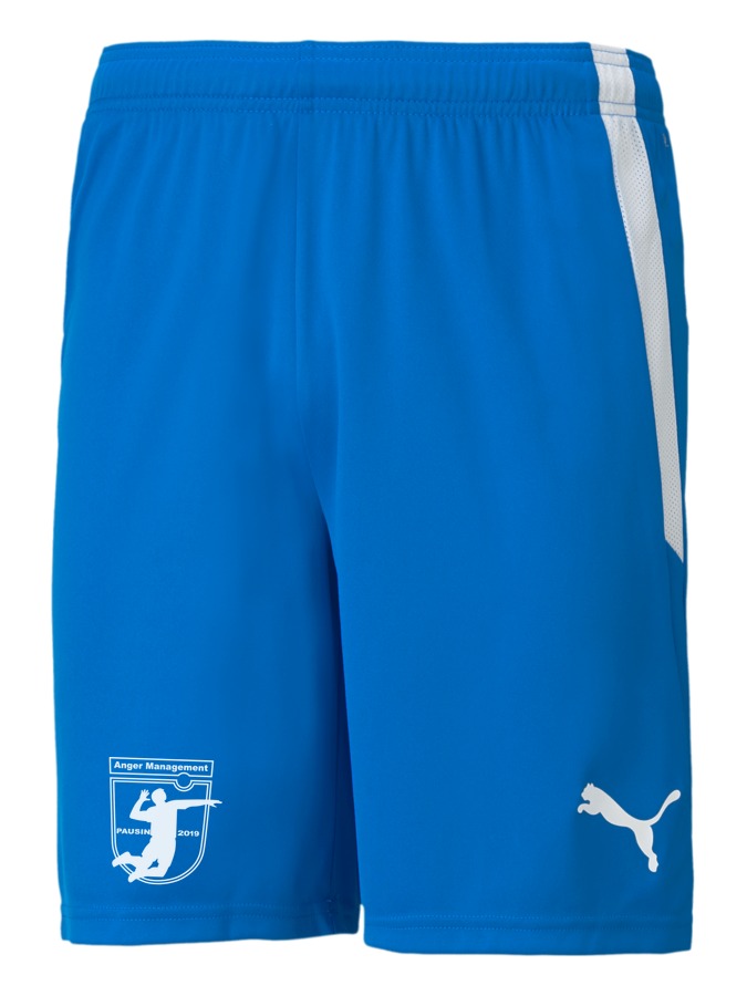 PUMA teamLIGA Shorts