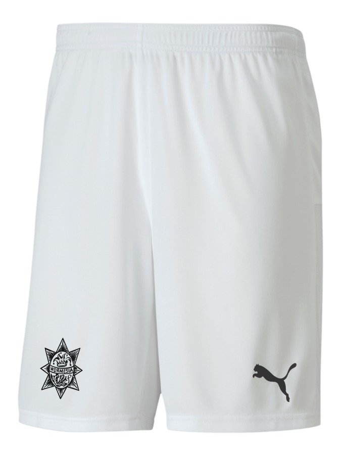 PUMA teamGOAL 23 Knit Shorts