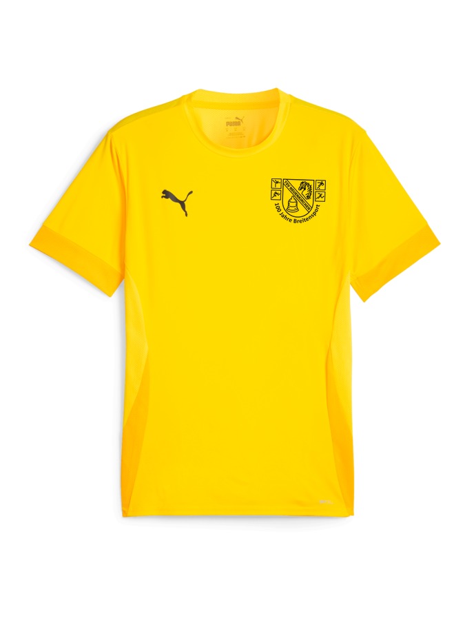 PUMA teamGOAL Matchday Trikot