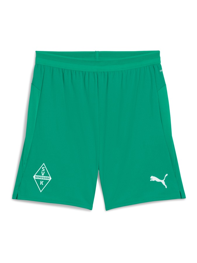 PUMA teamCUP Shorts