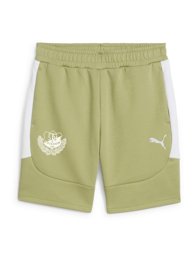 PUMA teamEVOSTRIPE Shorts