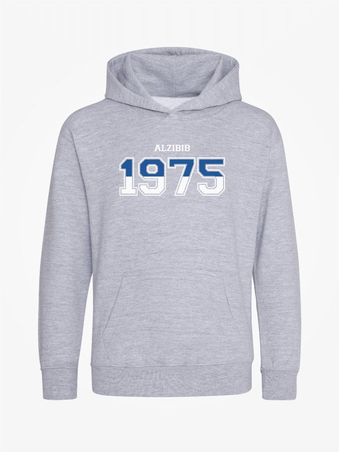 Hoodie Established Kids