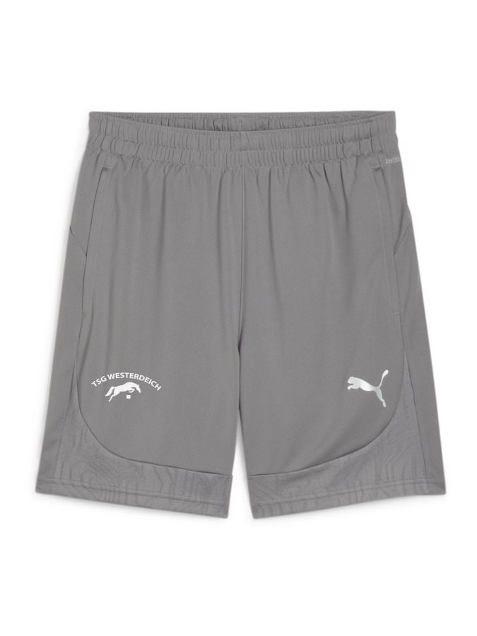 PUMA teamFINAL Training Shorts