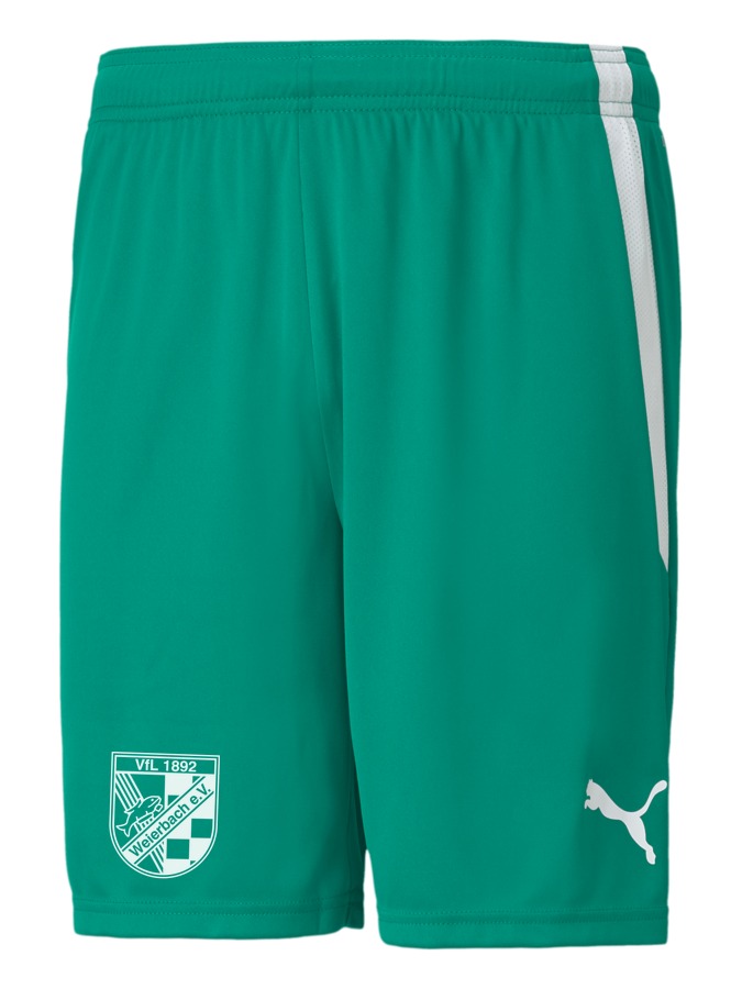 PUMA teamLIGA Shorts