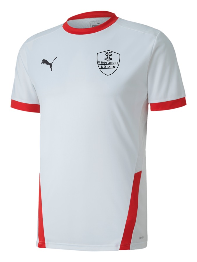 PUMA teamGOAL 23 Trikot