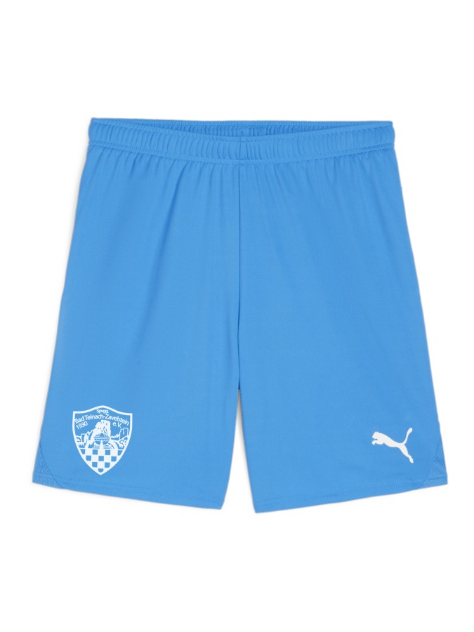 PUMA teamGOAL Shorts