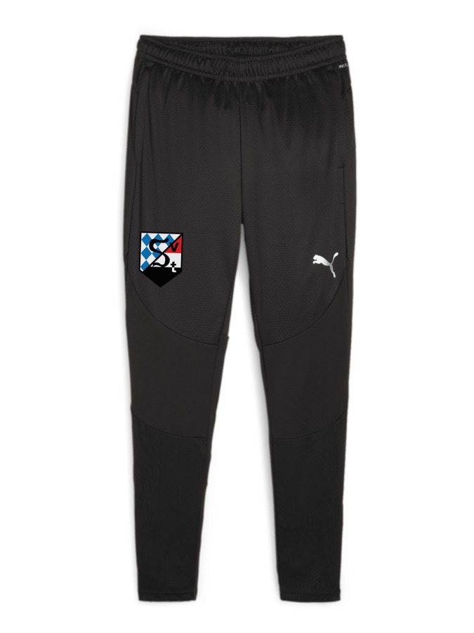 PUMA teamFINAL Trainingshose