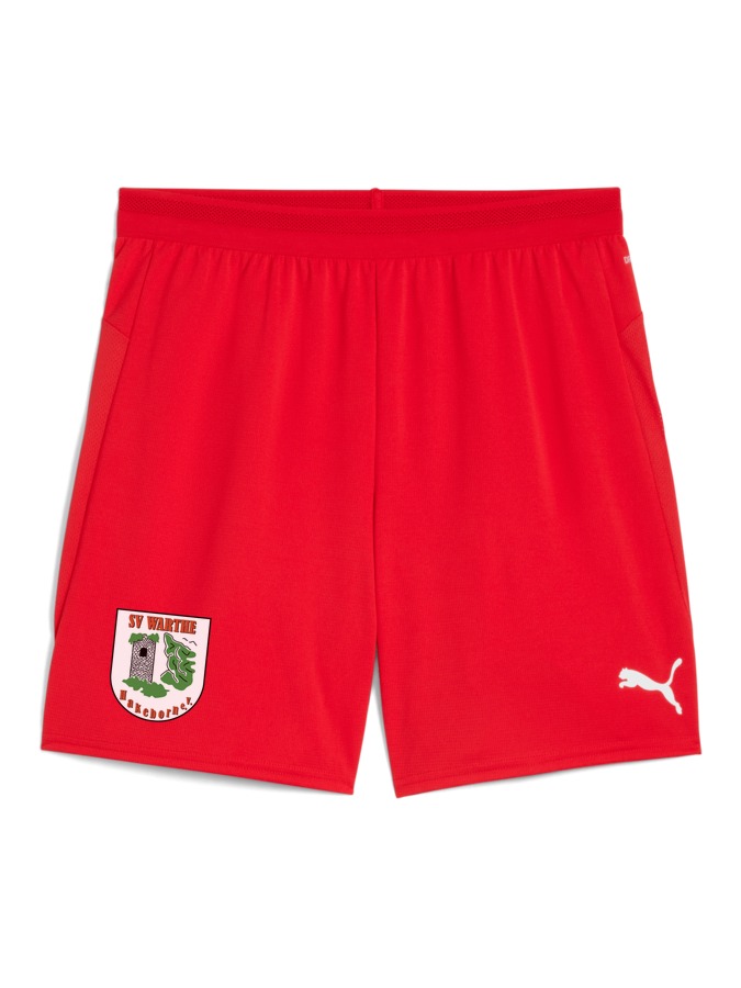 PUMA teamCUP Shorts