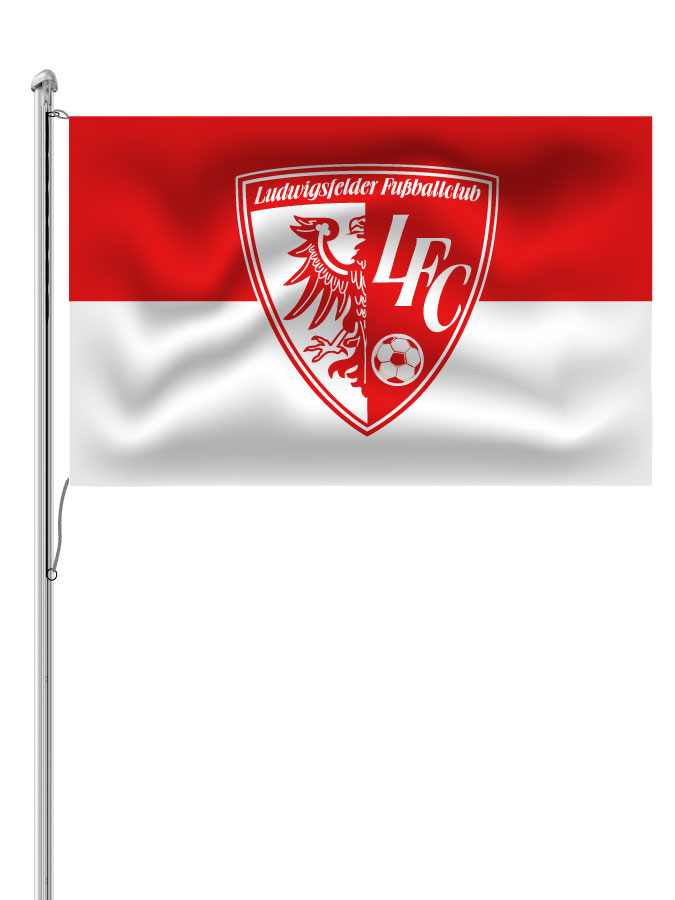 Hissfahne Logo