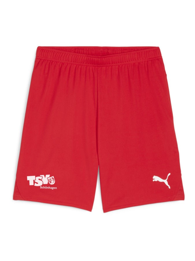 PUMA teamGOAL Shorts