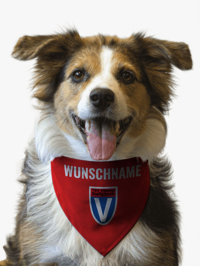 Hundehalstuch