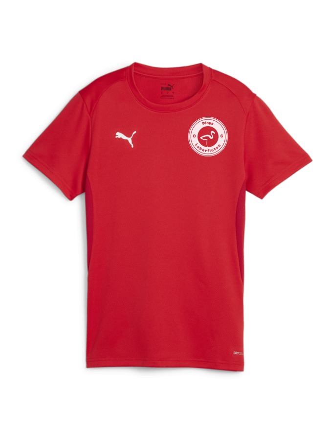 PUMA teamGOAL Trikot Damen