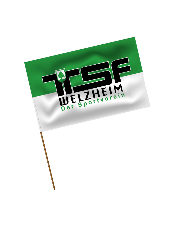 Stadionfahne Logo