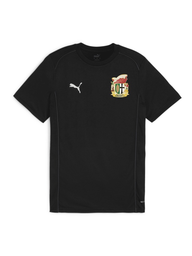 PUMA teamFINAL Casuals T-Shirt
