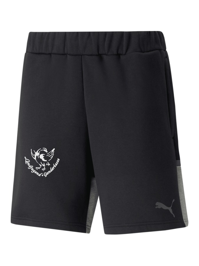 PUMA teamCUP Casuals Shorts