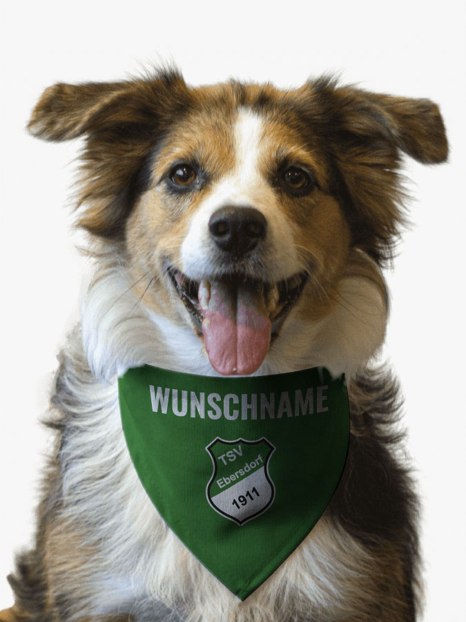 Hundehalstuch
