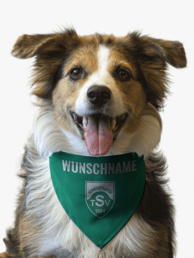 Hundehalstuch