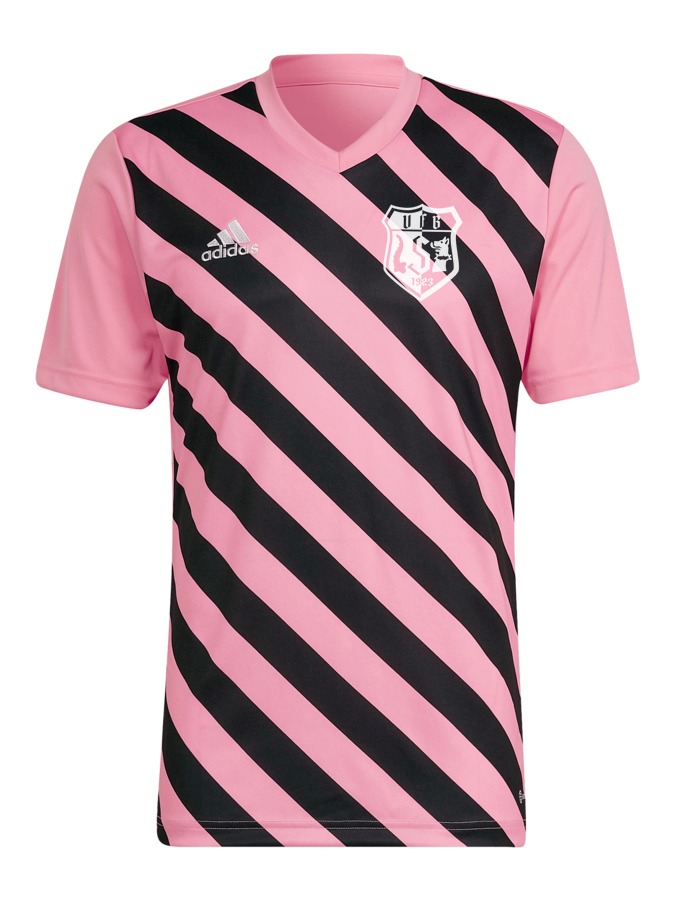 adidas Entrada 22 GFX Trikot