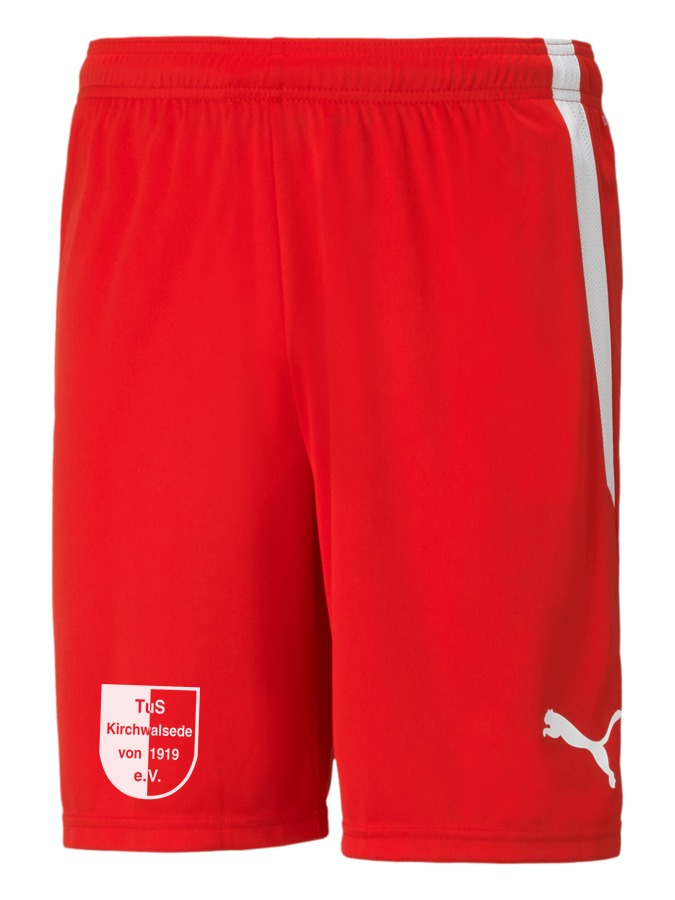 PUMA teamLIGA Shorts