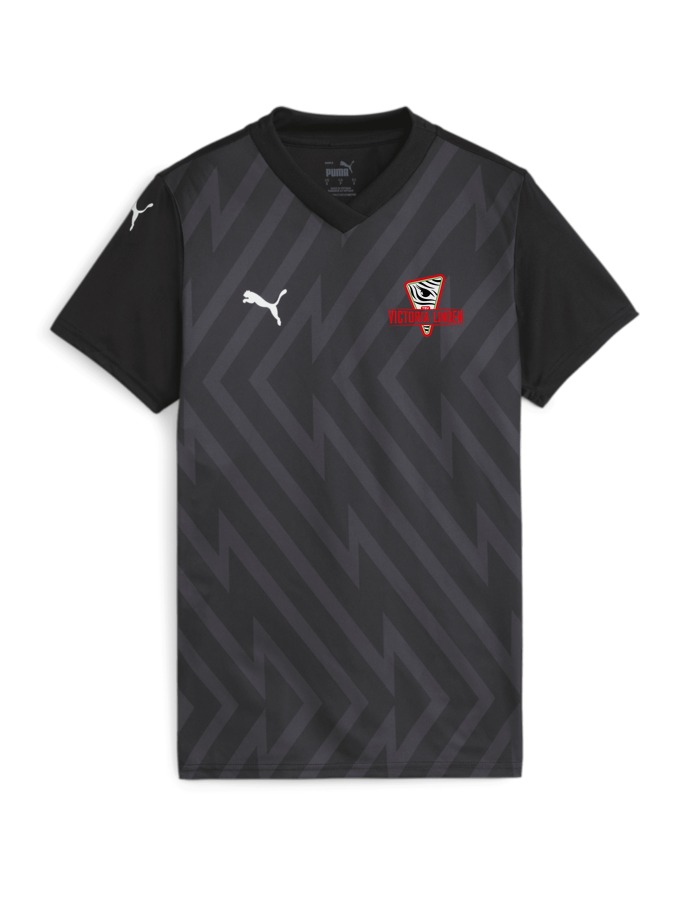 PUMA teamGLORY Trikot Damen
