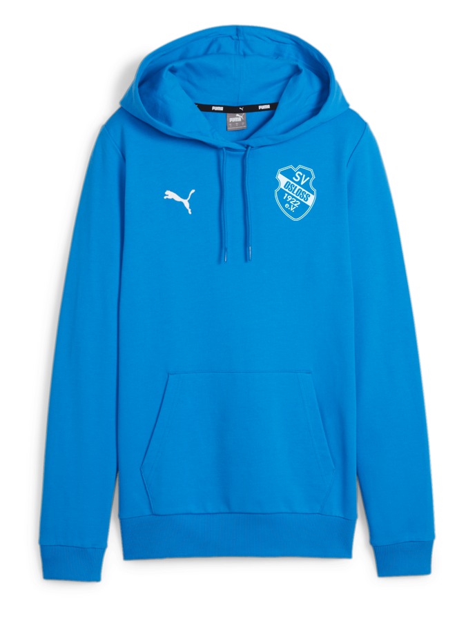 PUMA teamGOAL Casuals Hoody Damen